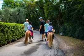People walking with children riding ponies on a tree-lined path.