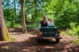 Two children in a mini car driving through a forest.