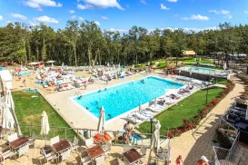 Lively outdoor swimming pool with sun loungers and trees in the background.
