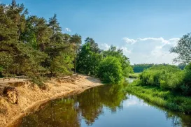 River bending through lush greenery under a clear blue sky.