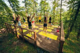 People practicing yoga on a wooden platform in a forest, surrounded by trees.