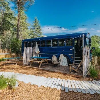 Blue bus converted into a cozy outdoor seating area in a forest setting.