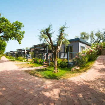 Pathway forks in lush park with small modern houses under a clear blue sky.