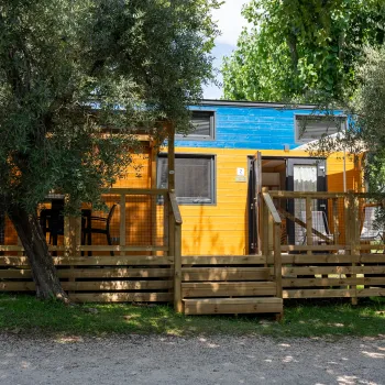 Yellow cabin surrounded by trees under a blue sky.