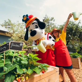 Spotty and woman happily watering plants in a garden.