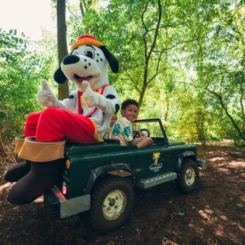 Spotty on a mini Jeep with a smiling child in a lush forest setting.