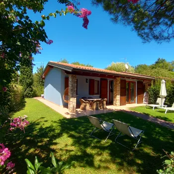 Small house with terrace in a sunny garden, surrounded by trees and flowers.