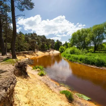 River winding through a sunny, wooded landscape with a bright blue sky.