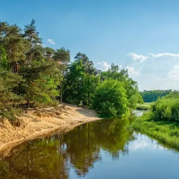 River bending through lush greenery under a clear blue sky.