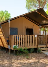 Wooden cabin with a canvas roof, surrounded by trees on a sunny day.