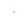 Map of Italy with a red dot in the center.