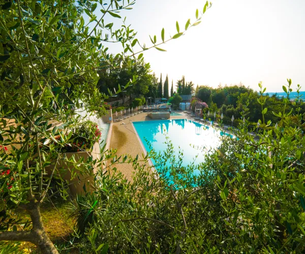 Sunlit pool surrounded by lush greenery, with clear blue sky.