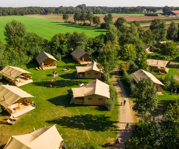 Cluster of tents in a lush, green campsite, surrounded by trees and fields.