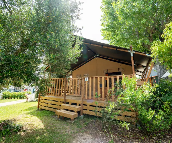 safaritent surrounded by lush green trees.