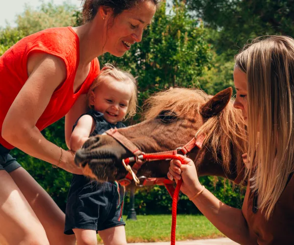 Child and two adults petting a small horse outside, smiling under sunny skies.
