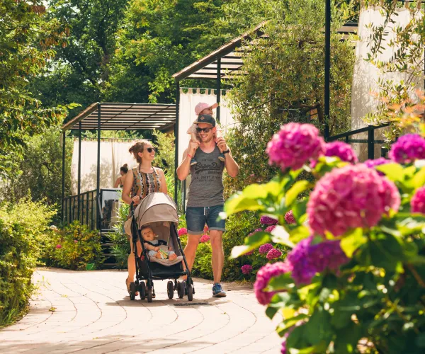 Family walking with stroller on garden path, pink flowers in foreground.
