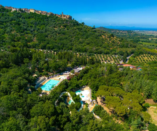 Aerial view of lush green landscape with pools and distant hills.