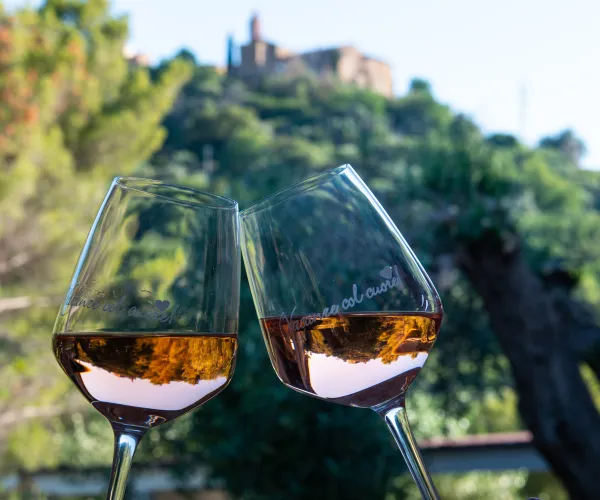 Two glasses of rosé wine clinking, with a blurred scenic background.