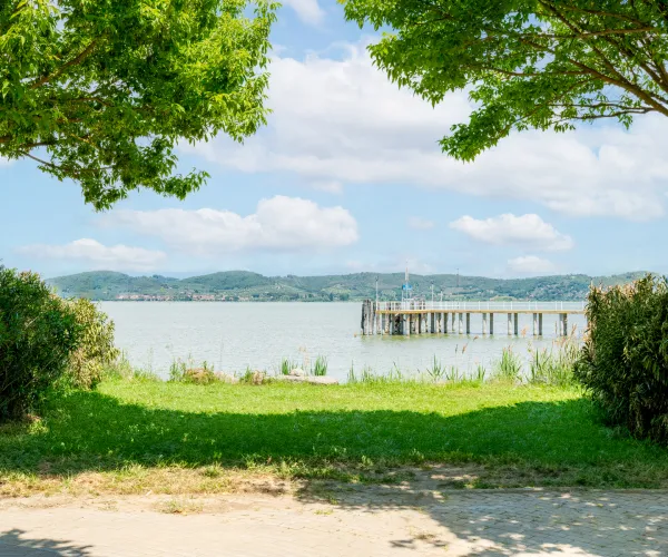 Lush green landscape with a lake and distant pier under a blue sky.