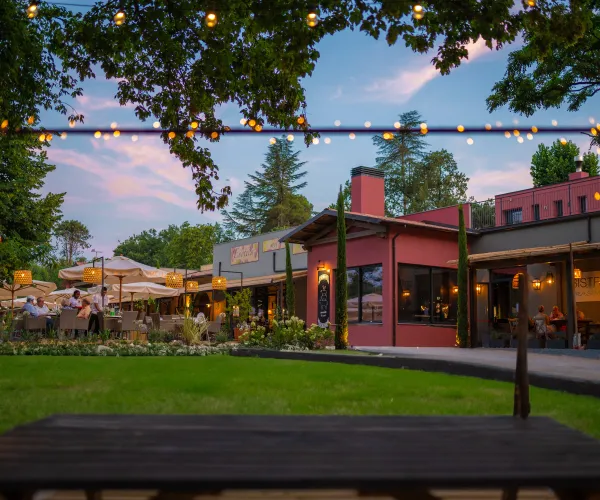 Outdoor restaurant patio at dusk with string lights and trees.