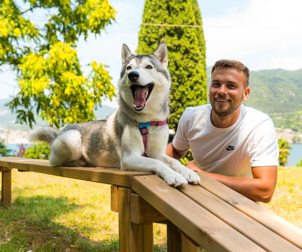 Man smiling with a husky dog on a wooden bench in a sunny park.