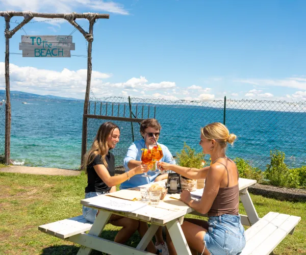 Three people clinking glasses at a picnic table by the sea under a clear blue sky.
