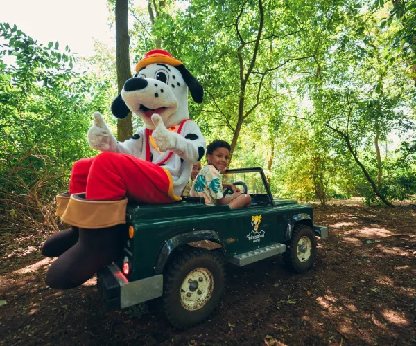Spotty on a mini Jeep with a smiling child in a lush forest setting.