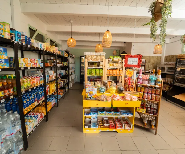 Cozy store interior with neatly arranged shelves and hanging lights.