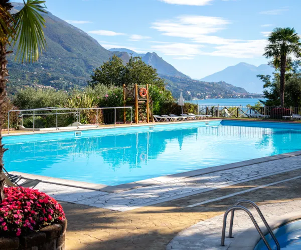 Outdoor pool with mountain and lake views, surrounded by palm trees and flowers.
