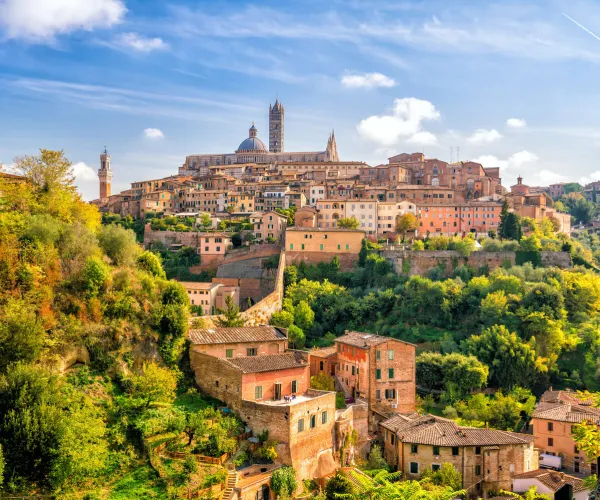 Hilltop town with historic buildings under a blue sky, surrounded by lush greenery.