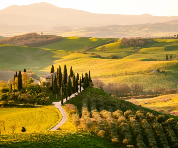 Sunlit Tuscan hills with winding road and cypress trees.