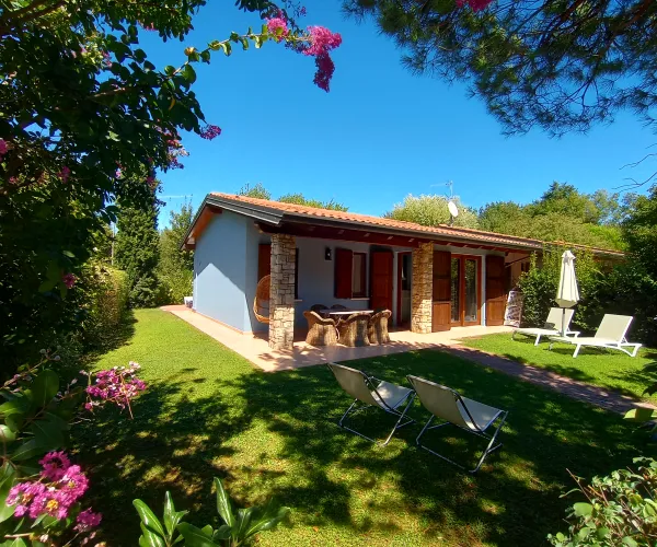 Small house with terrace in a sunny garden, surrounded by trees and flowers.