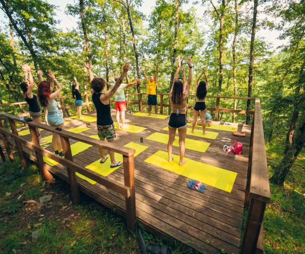 People practicing yoga on a wooden deck in a forest, stretching upward.