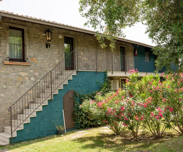 Stone house with stairs, green wall, and flowering bushes in the yard.